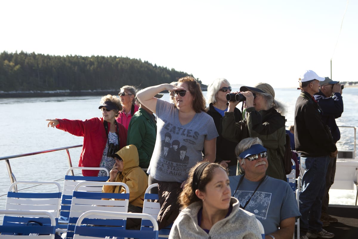 Trip-goers point out a Bald Eagle while cruising on the Kennebec River.