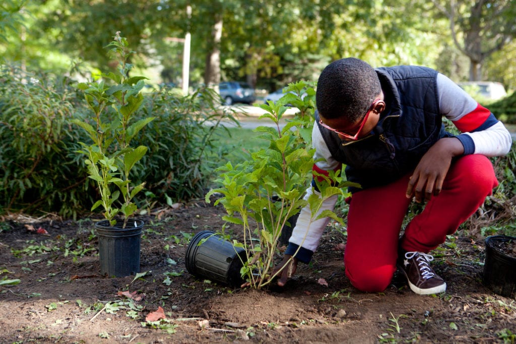 A King Middle School student plants native plants on school grounds