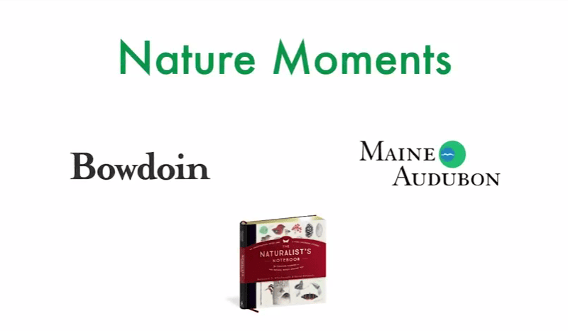Nature Moments Title Graphic