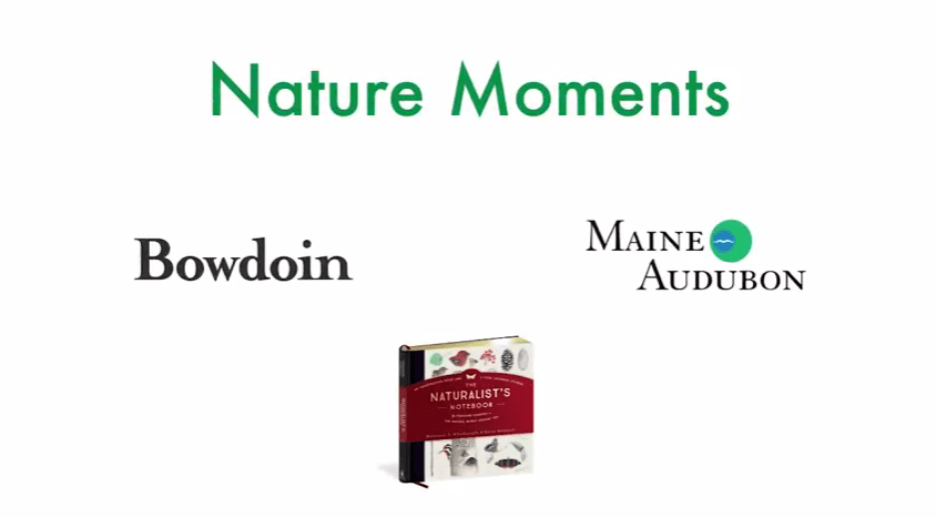 Nature Moments Title Graphic