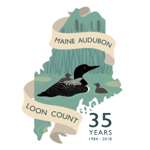 Loon Count 35th Anniversary Logo