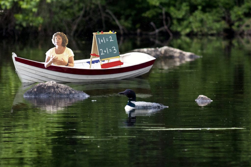 Teaching loons to count by boat (April Fools)