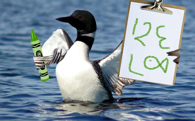 Loon with clipboard (April Fools)