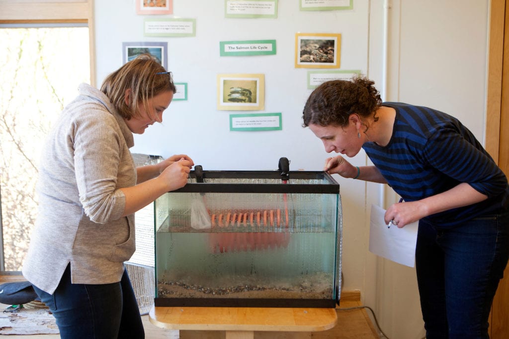 Educators Karen Arno and Molly Woodring collect salmon from the tank at Gilsland Farm