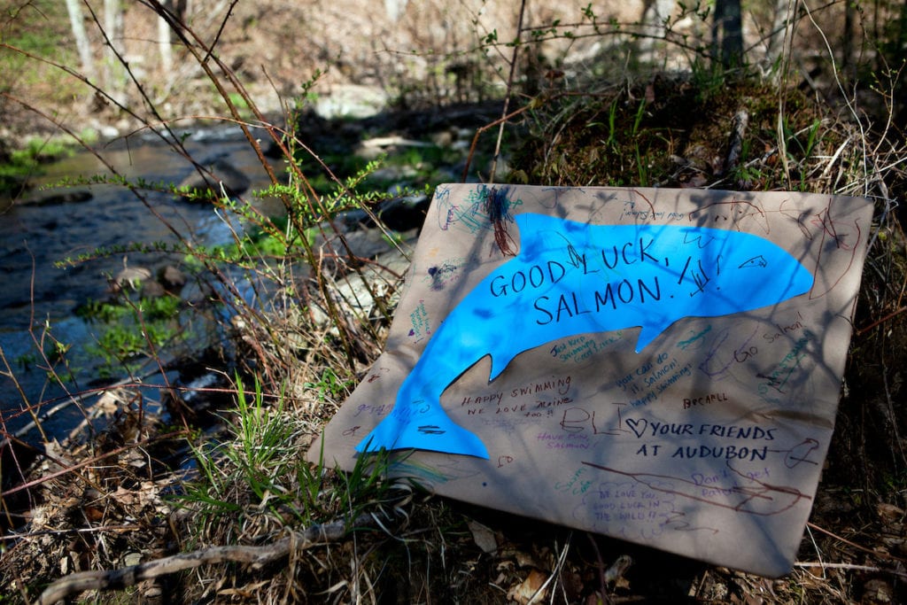 A sign wishes our Atlantic Salmon well