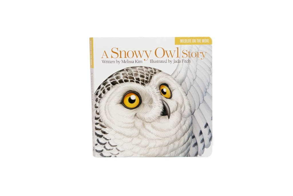 A Snowy Owl Story book cover