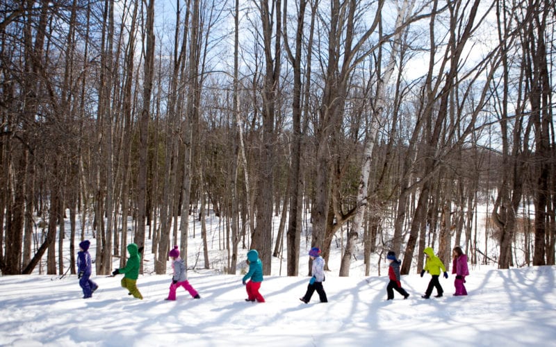 February campers walking in the woods