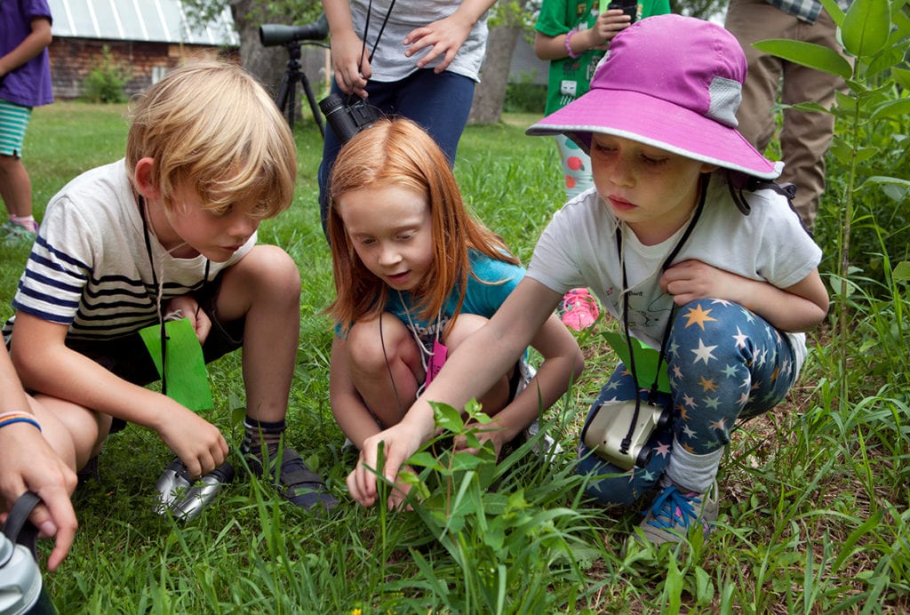 Summer Camp kids learning about native plants