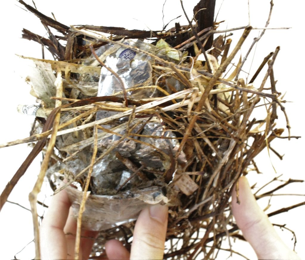 A birds' nest containing plastic waste from Gilsland Farm. Photo: Nick Lund