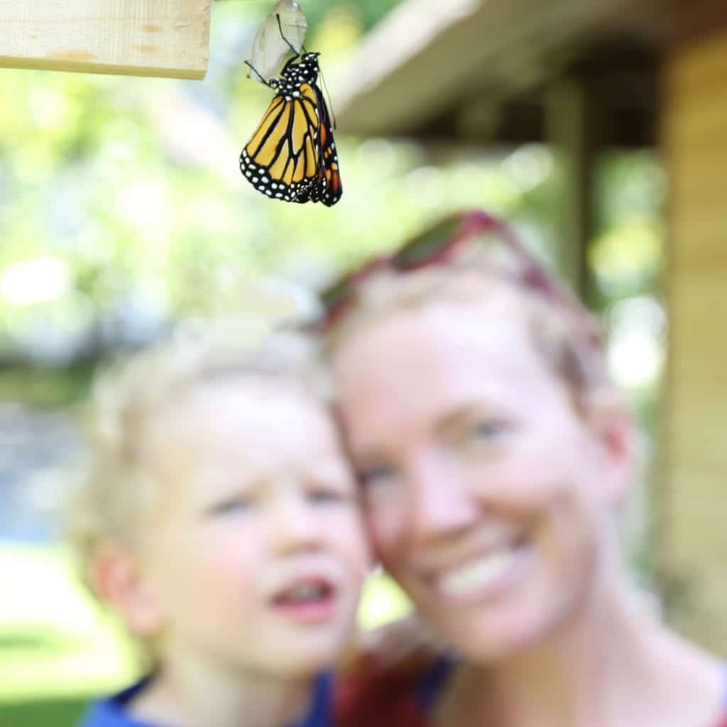 Mother and son watch a newly emerged monarch. Photo by Michael Lambert