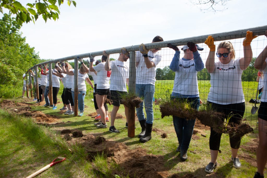 Volunteers help with a fence
