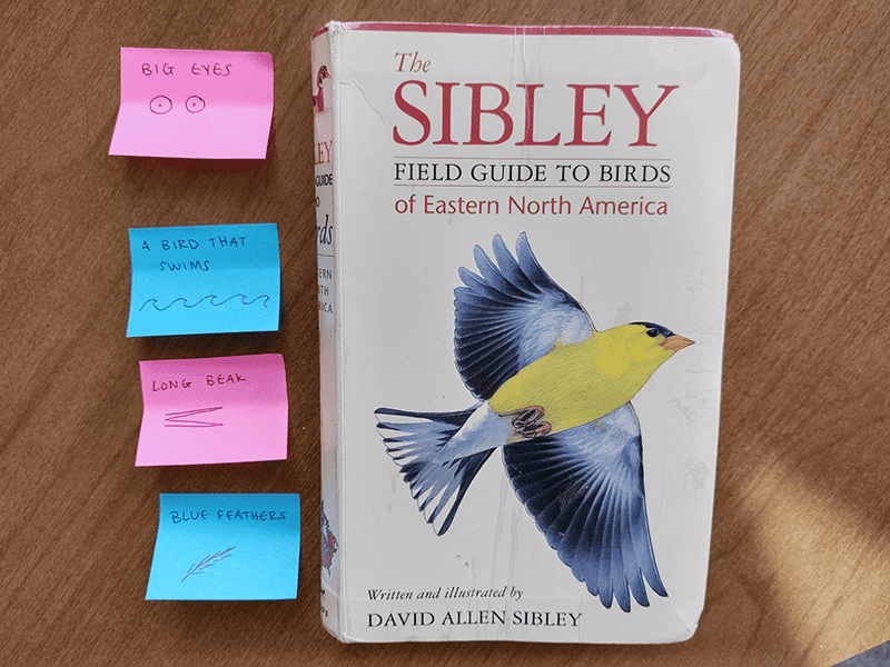 Sibley Guide Book
