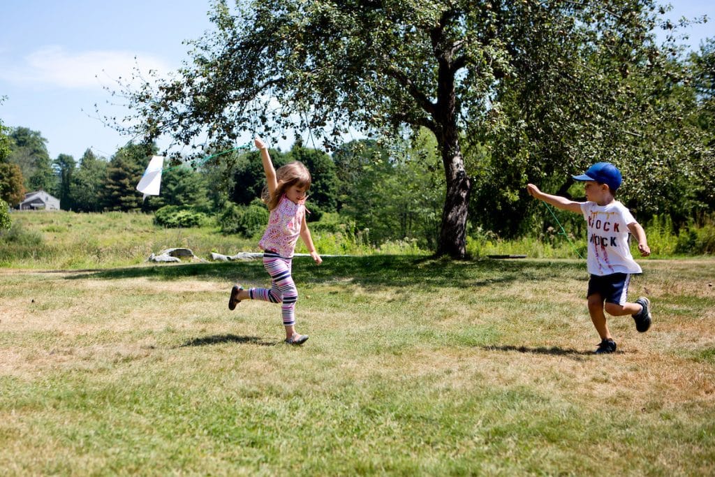 Running with bird kites