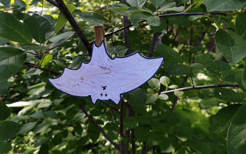 Paper bat in a shrub