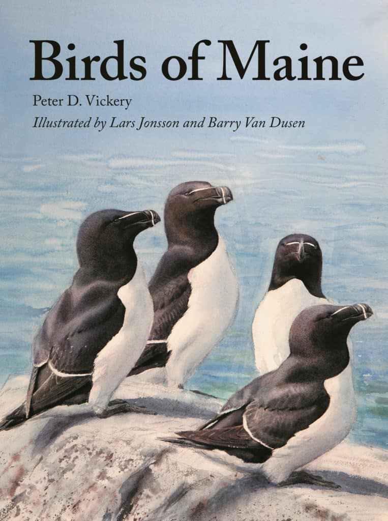 Birds of Maine book