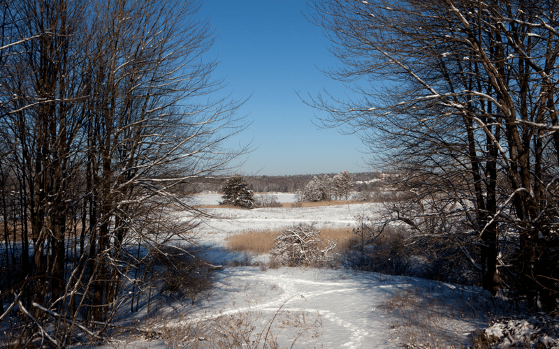 Gilsland Farm in winter
