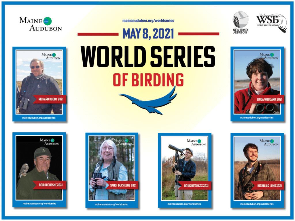 world series of birding 2021