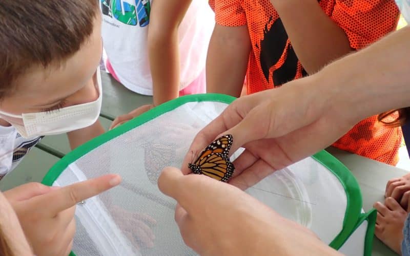 Kids tagging monarch butterflies at Fields Pond
