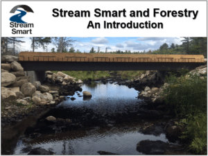 StreamSmart and Forestry