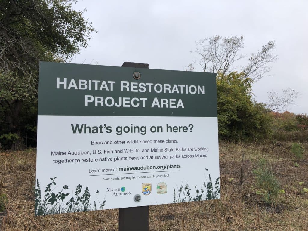 habitat restoration at Kettle Cove State Park