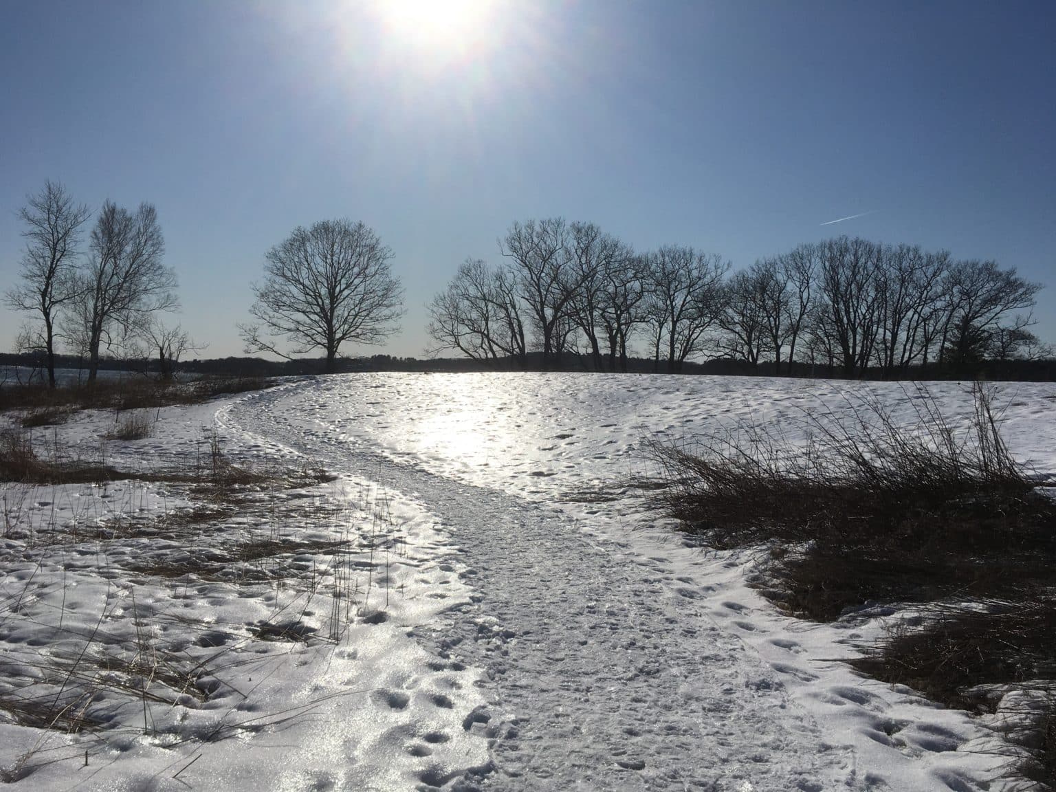 Gilsland Farm Audubon Center Maine Audubon