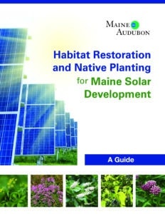 Habitat Restoration and Native Planting for Maine Solar Development