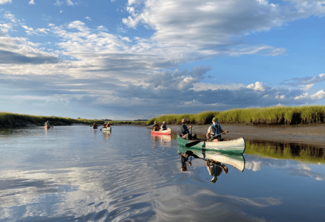 Guided Canoe Tour on Scarborough Marsh