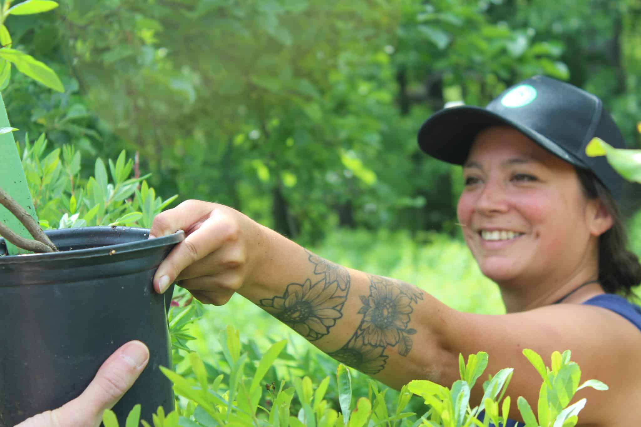 Online plants sales kick off; plus top five trees and shrubs to plant