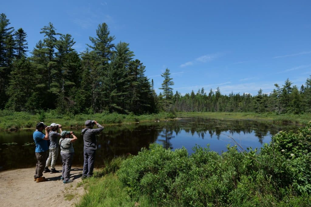 Birders at Lynx Pond in Katahdin Woods and Waters NM