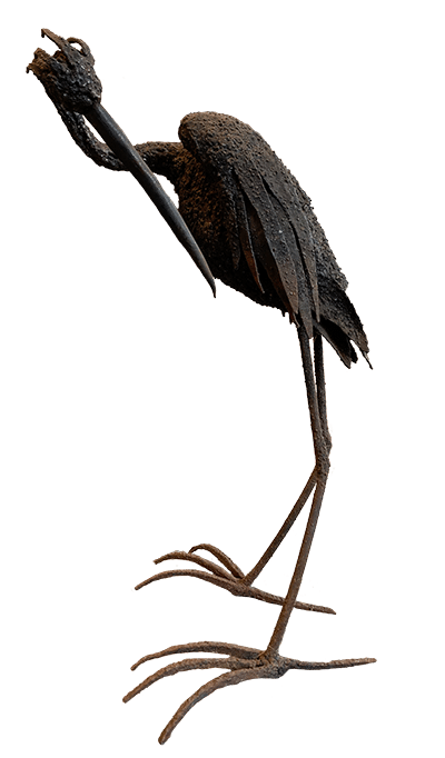 Preening Heron by Nina Scott-Hansen