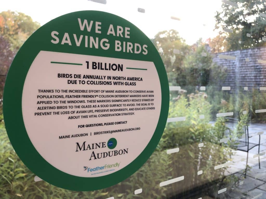 Installation of bird friendly window treatments at Gilsland Farm Audubon Center