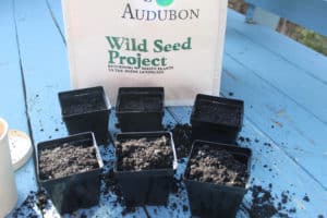 Winter Seed Sowing Kit