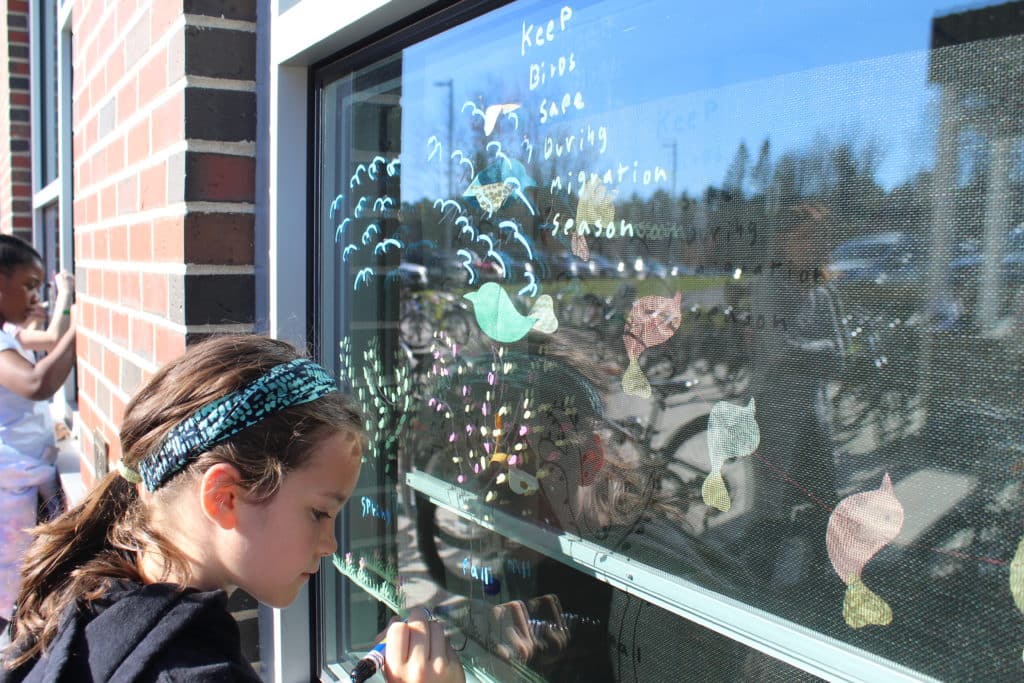 Yarmouth students putting bird-safe drawings on windows