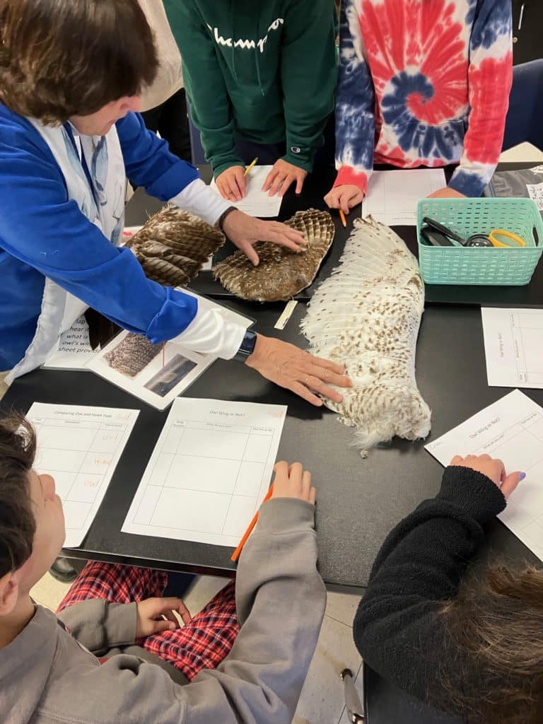 Linda Woodard works with students at Moore Middle School in Portland on owl/bird unit, Nov 2022
