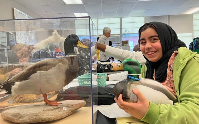 Students at Moore Middle School in Portland studying birds
