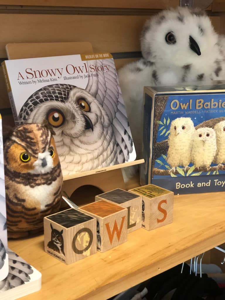 Children's Toys and Books in the Nature Store