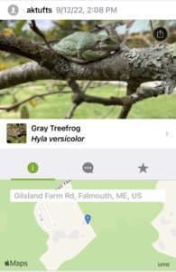 iNaturalist observations at Gilsland Farm