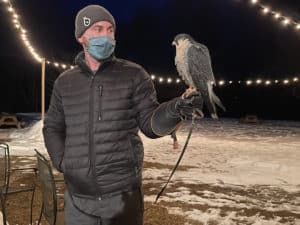 Peregrine Falcon, Winter Wildlife Mingle 2022