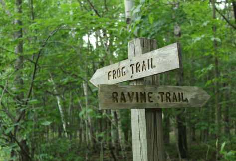 FP Trail Signs