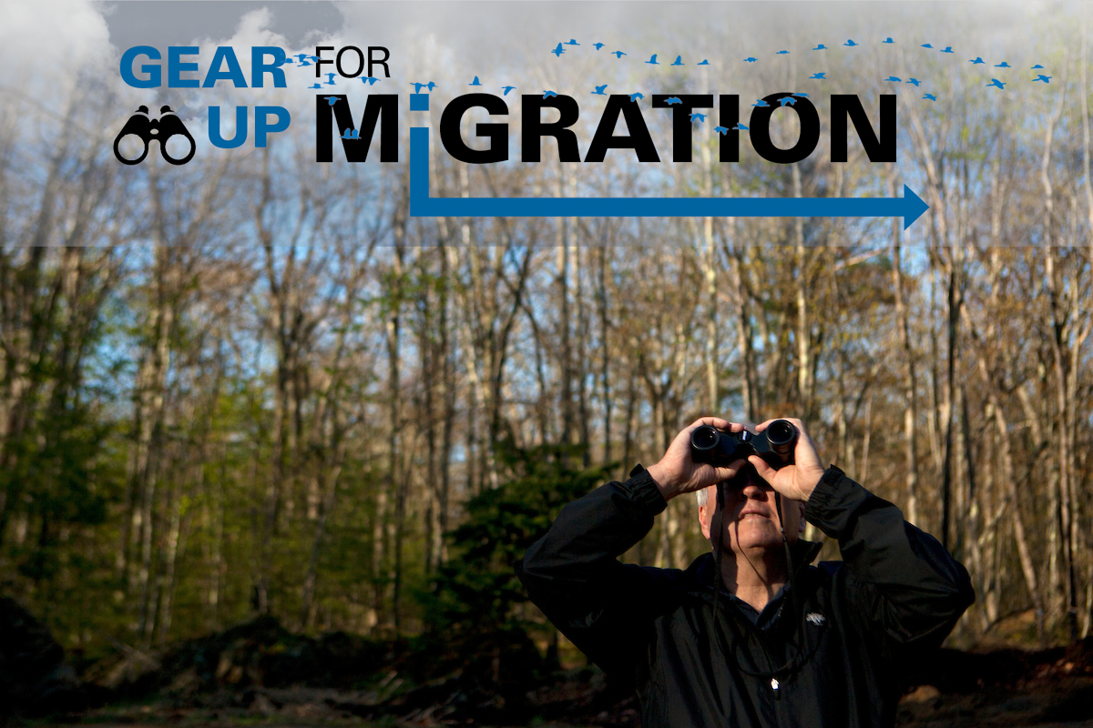 Gear Up for Migration Event