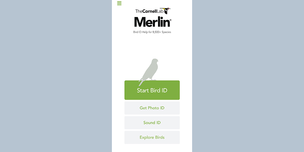 Merlin app screen