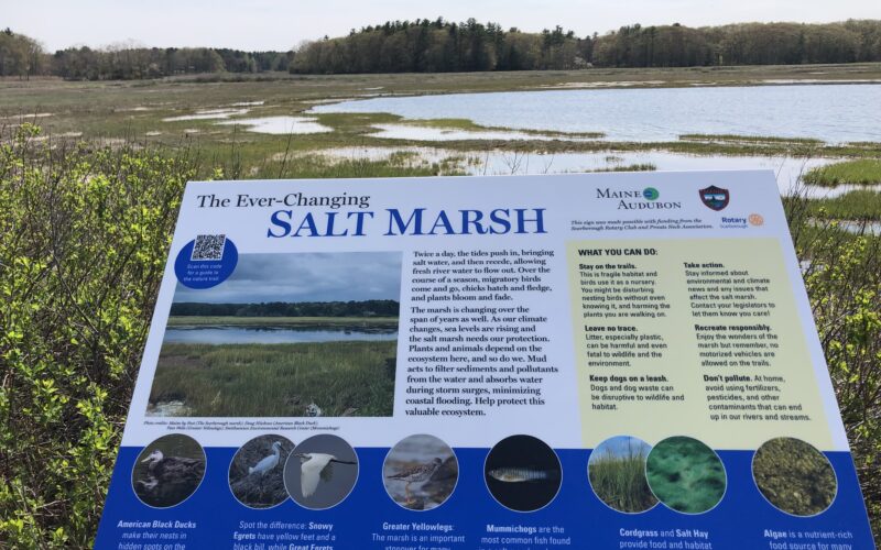 Scarborough Marsh Nature Trail