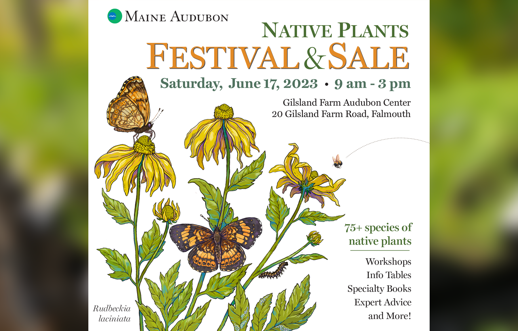 Native Plants Festival and Sale