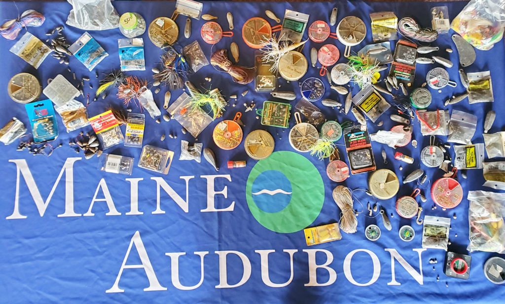 Fish Lead Free - Maine Audubon