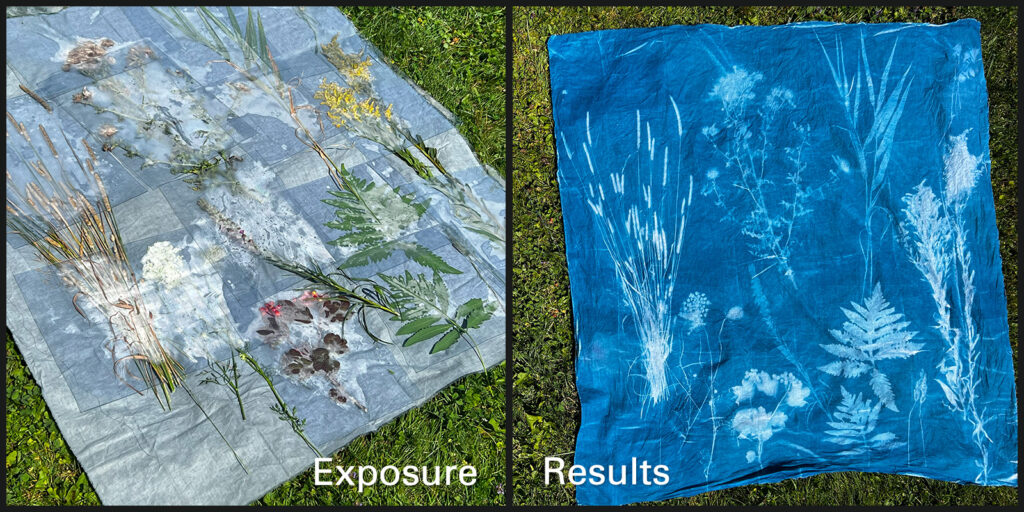 Sun prints exposure (l.) and results on cotton fabric (r.)