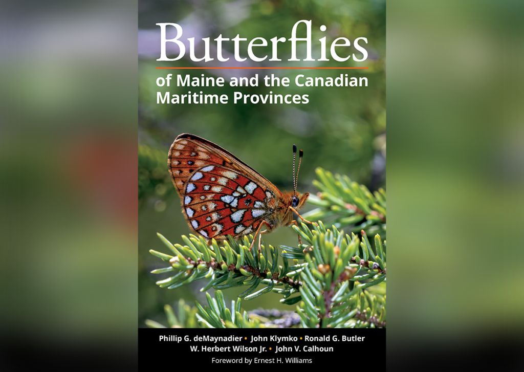 Butterflies Of Maine Cover 1024x727 