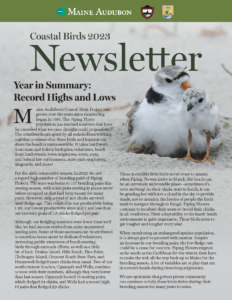 Coastal Birds Newsletter 2023