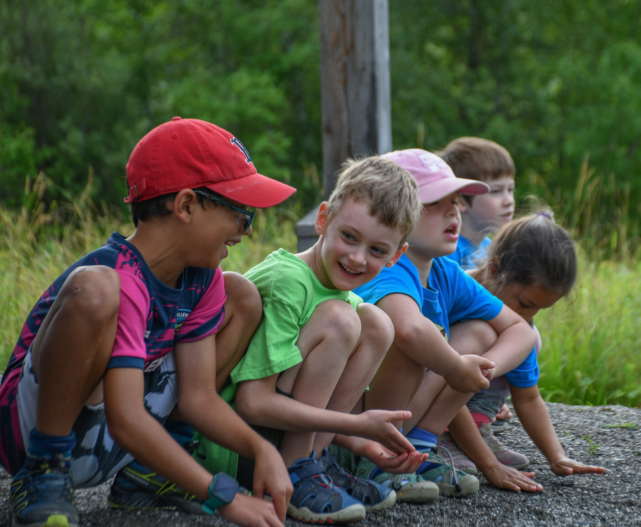 Registration Opens Fields Pond Summer Camp Maine Audubon