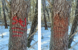 tree tagging