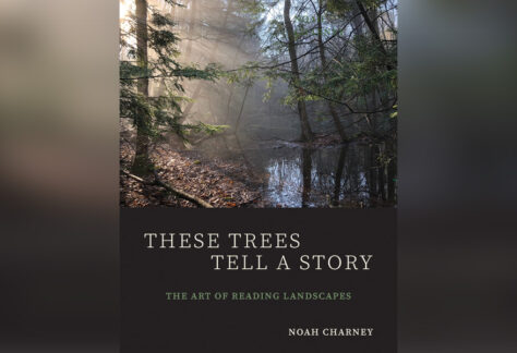 These Trees Tell a Story by Noah Charney